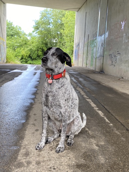 EBB1F7EA-35B6-40EE-AC38-07B24897ECAF_1_105_c