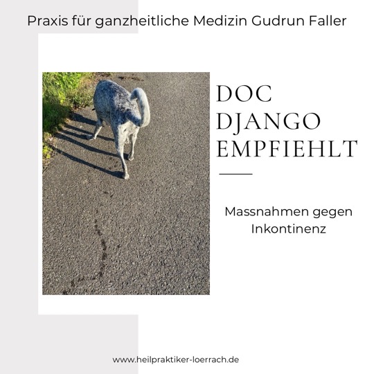 Kopie von Doc Django empfiehlt - 1